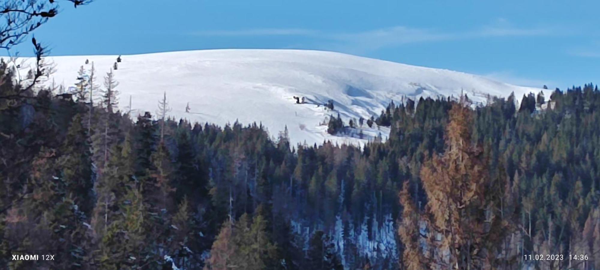 Schicke Ferien Wohnung Mit Tollem Ausblick In Schwarzwald. Villingen-Schwenningen Extérieur photo