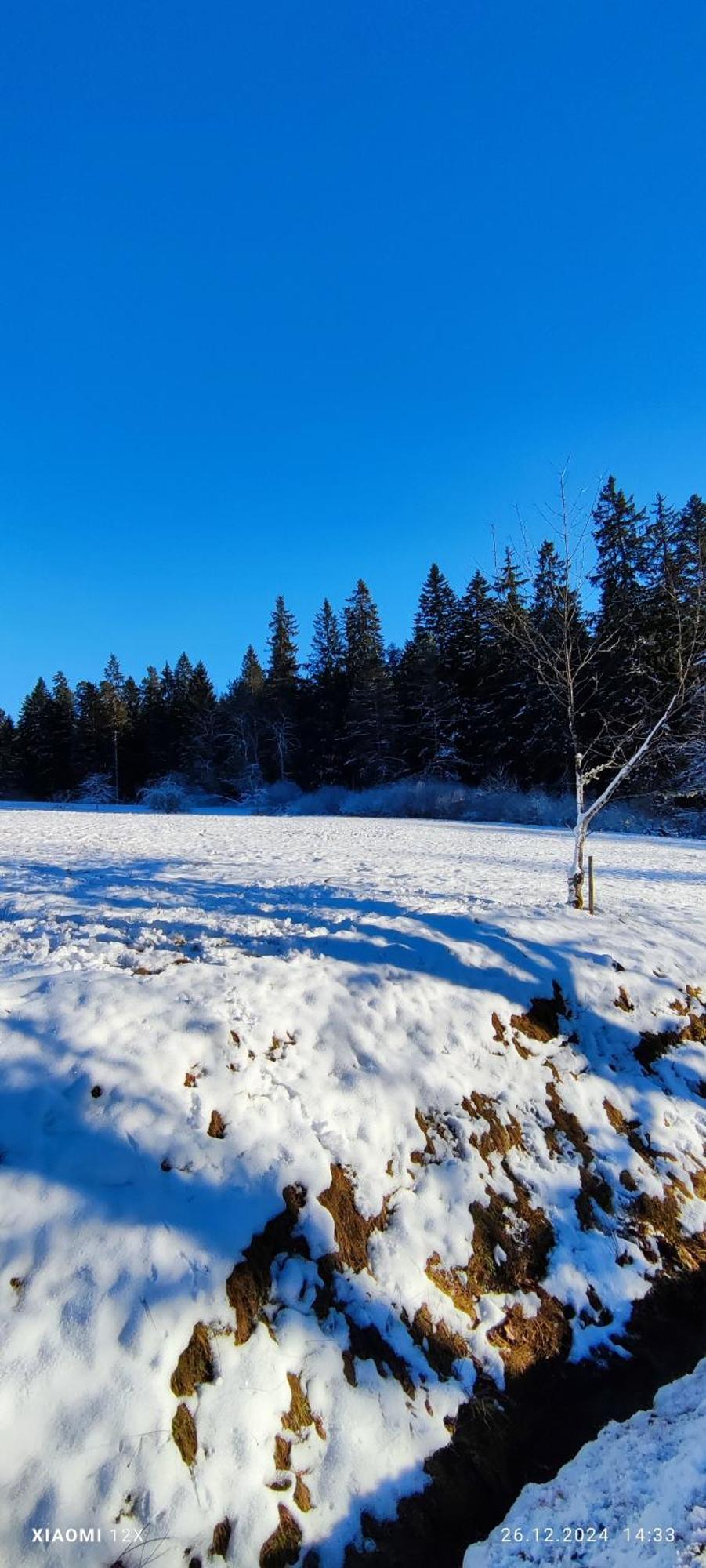 Schicke Ferien Wohnung Mit Tollem Ausblick In Schwarzwald. Villingen-Schwenningen Extérieur photo